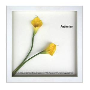 《フラワーフレーム》F-style Frame Anthurium /yellow(アンスリウム/イエロー)