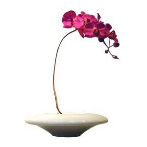 《造花・花瓶》F-style vase Moth orchid(モス・オーキッド(胡蝶蘭))