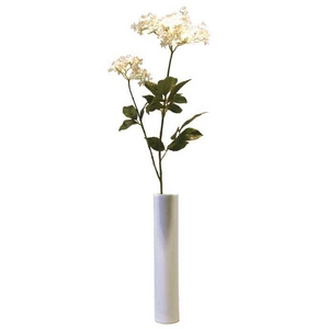 《造花・花瓶》F-style vase Queen anne's Lace(クイーン･アンズ・レース(ノラニンジン))