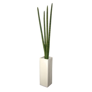 《人工観葉植物》F-style vase Sansevieria Stucky(サンセベリア スタッキー)