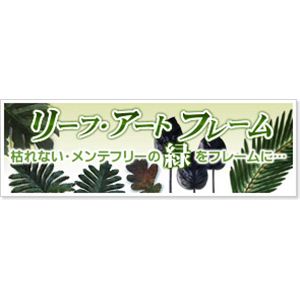 iX s[tpltF-style Clock Monstera deliciosa/Middle(XeEfVIT)摜2