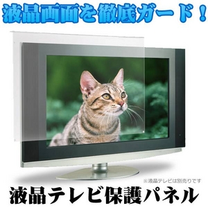 液晶テレビ保護パネル 37インチ用 アンチグレア ITG-37AG 【簡単設置】