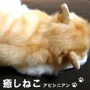 癒しねこ アビシニアン 〈眠り〉