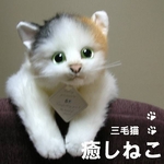 癒しねこ ミケ 〈目明き〉