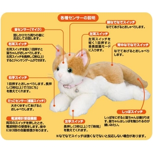 楽天市場】じかんぴったりおしゃべりすずちゃん イワヤ 新品