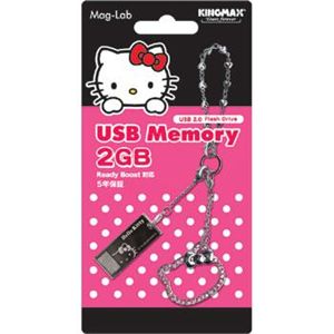 磁気研究所 USB2GBtypeE-pk （USBメモリー）