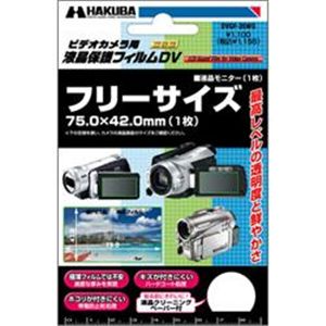 HAKUBA DVGF-35WG ビデオカメラ用液晶保護フィルム （液晶保護フィルム）