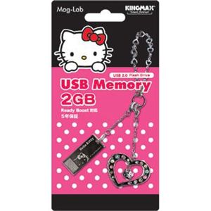 磁気研究所 USB2GBtypeC-pk （USBメモリー）