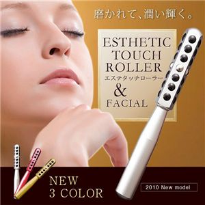 グッディア ETR-S エステタッチ ローラー シルバー