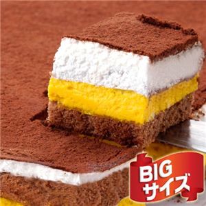 【お歳暮用　のし付き（名入れ不可）】特大！！南瓜ティラミスケーキ