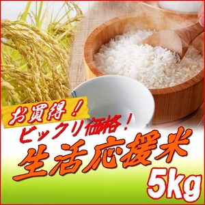 【お歳暮用 のし付き（名入れ不可）】平成22年新米!新潟県長岡産コシヒカリ30kg（5kg×6袋）