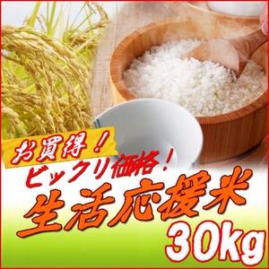 【お歳暮用 のし付き（名入れ不可）】平成22年産新米!新潟県長岡産コシヒカリ20kg（5kg×4袋）