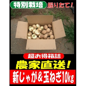 特別栽培農家直送「新じゃがいも＆新玉ねぎセット」10kg（各5kg）