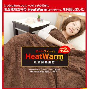 Heat Warm ヒートウォーム 発熱あったか2枚合わせ毛布 シングル ブラウン 通販