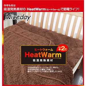 HeatWarmiq[gEH[j M2킹~pbhiNTj _u x[W摜2