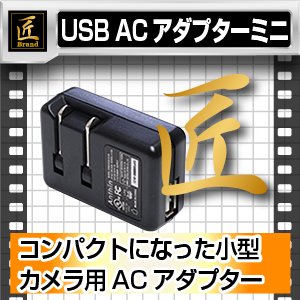 USB ACA_v^[ ~j5V1000mAiuhj^Jp摜1