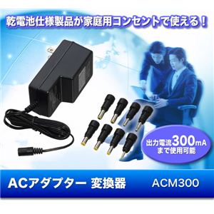 ACA_v^[ ACM300摜1