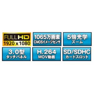 PR[ tnCrWfW^rfIJ DVS-600FHD BK摜3XV