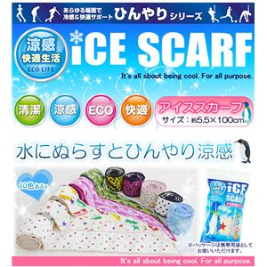 ЂV[Y iCE SCARFiACXXJ[tj hbg摜1