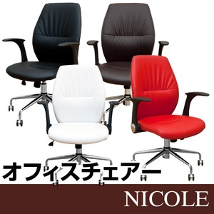 ItBX`FA NICOLE zCg摜1