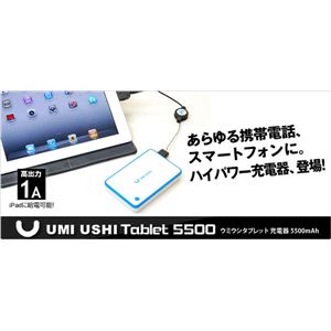 yE~EV ^ubg 5500zUMI USHI Tablet iPhone Android X}zp摜2XV