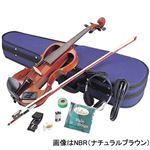 Hallstatt ElectricViolin 4／4Size EV30／NBR