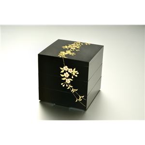 KT2106A 円山5.0三段重（黒）（A） 【Kaze-ya style・北市漆器店 】