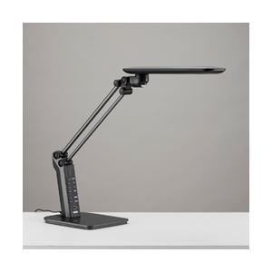 ツインバード工業 照度＆人感センサー付LEDデスクライト （ブラック） LE-H819B