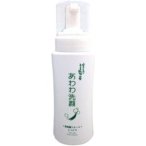 （まとめ買い）宮古島のうる肌アロエ あわわ洗顔 200ml×2セット