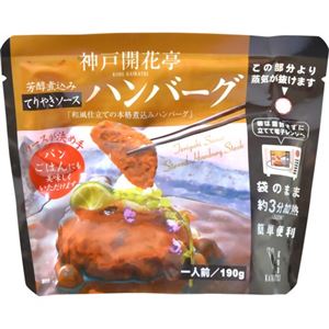 （まとめ買い）神戸開花亭 芳醇煮込みハンバーグ てりやきソース 190g×24セット