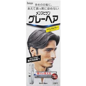 （まとめ買い）メンズビゲン グレーヘア ナチュラルグレー 80g×4セット