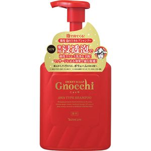 （まとめ買い）インセントスカルプ Gnocchi(ニョッキ) 薬用 泡のスカルプシャンプー 350ml×2セット
