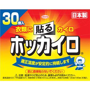 ホッカイロ 貼る レギュラー 30個入