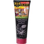 （まとめ買い）ジンジャラー ホットスクラブ パワーハード スパイシージンジャーの香り 200g×4セット