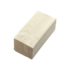 （まとめ） カラーナプキン 2PLY 8つ折 未晒し 2PU-28C 1パック（50枚） 【×10セット】