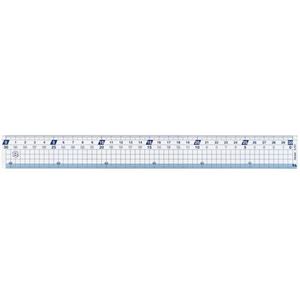 （まとめ） レイメイ藤井 Study Mate 再生PET定規はしゼロメモリ 30cm APJ207 1個 【×40セット】