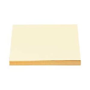 （業務用セット） NEWファインカラー クリーム B5 1冊（500枚） 【×5セット】