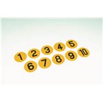 TOEI LIGHT（トーエイライト） アクティブナンバープレート B6256（屋内遊具）