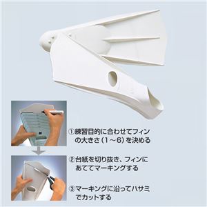 エバニュー（EVERNEW） ドルフィンマスター S EHA169 日本製