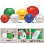エバニュー（EVERNEW） カラー大玉 90 白 EKA445 日本製