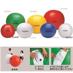エバニュー（EVERNEW） カラー大玉 70 白 EKA597 日本製