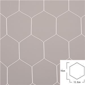 エバニュー（EVERNEW） 一般サッカーネット亀甲S112 EKE968