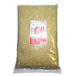 無洗米 卑弥呼玄米3kg