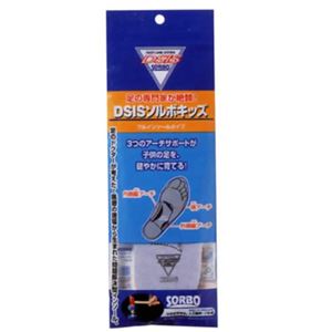 DSISソルボキッズ フルインソールタイプ グレー 16cm